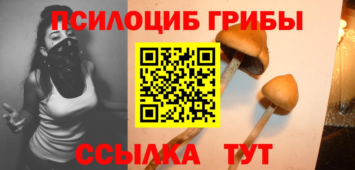Псилоцибиновые грибы мицелий  Вход с VPN  Канаш 